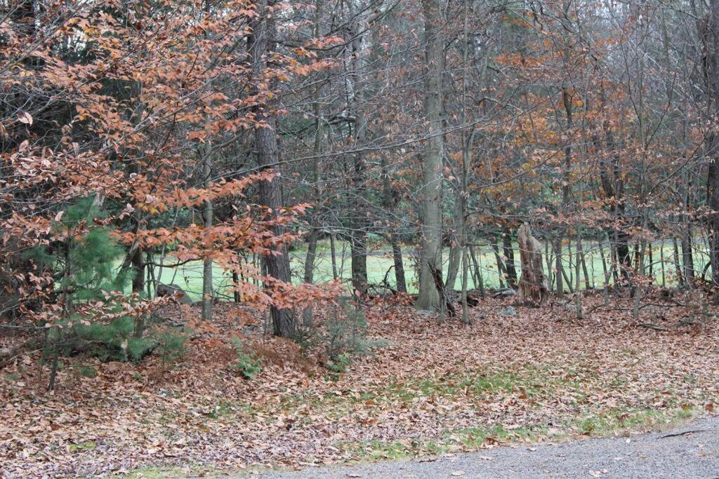 Luxury 4 Bedroom House In Pocono Mountains In Golf Course Near Lake Tobyhanna Exterior foto